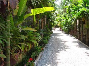 Sok San Hostel Siem Reap Exterior photo